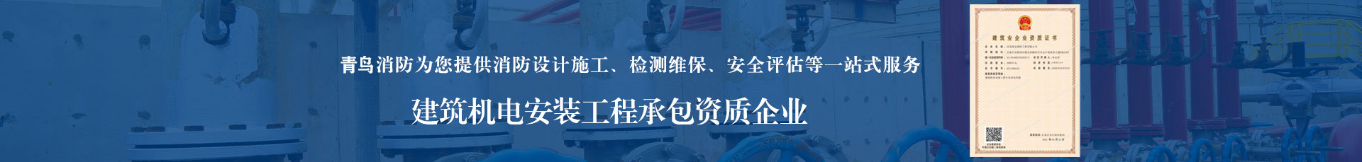 杭州青鳥(niǎo)